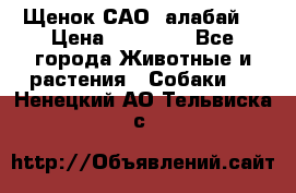 Щенок САО (алабай) › Цена ­ 10 000 - Все города Животные и растения » Собаки   . Ненецкий АО,Тельвиска с.